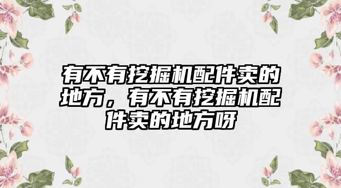 有不有挖掘機(jī)配件賣的地方，有不有挖掘機(jī)配件賣的地方呀