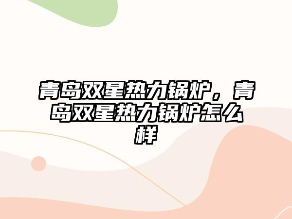 青島雙星熱力鍋爐，青島雙星熱力鍋爐怎么樣