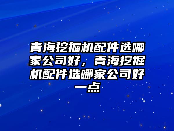 青海挖掘機(jī)配件選哪家公司好，青海挖掘機(jī)配件選哪家公司好一點(diǎn)