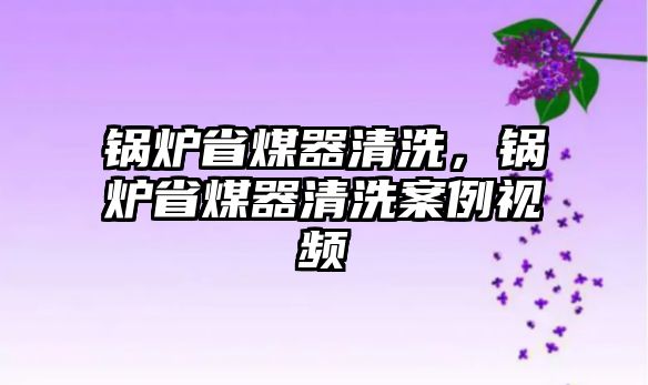 鍋爐省煤器清洗，鍋爐省煤器清洗案例視頻