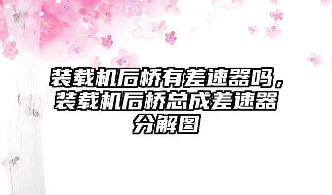 裝載機(jī)后橋有差速器嗎，裝載機(jī)后橋總成差速器分解圖