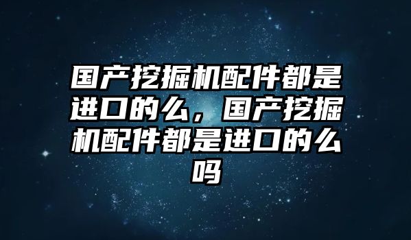 國產(chǎn)挖掘機配件都是進口的么，國產(chǎn)挖掘機配件都是進口的么嗎