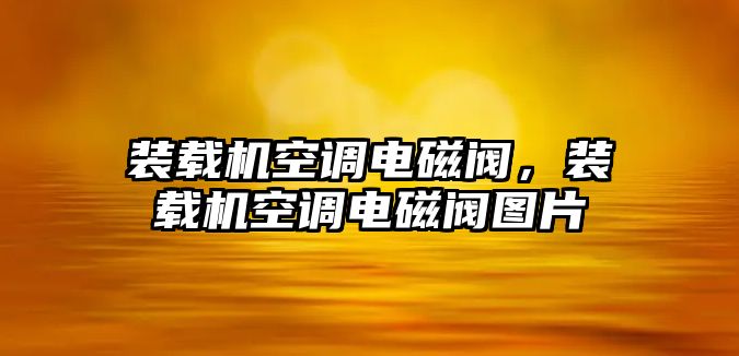 裝載機(jī)空調(diào)電磁閥，裝載機(jī)空調(diào)電磁閥圖片