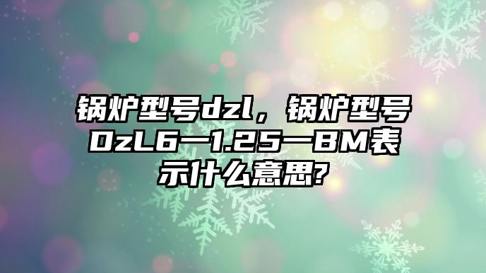 鍋爐型號dzl，鍋爐型號DzL6一1.25一BM表示什么意思?