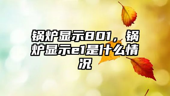 鍋爐顯示801，鍋爐顯示e1是什么情況