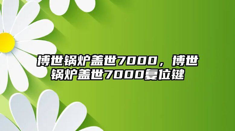 博世鍋爐蓋世7000，博世鍋爐蓋世7000復(fù)位鍵