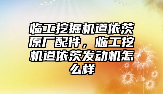 臨工挖掘機道依茨原廠配件，臨工挖機道依茨發(fā)動機怎么樣