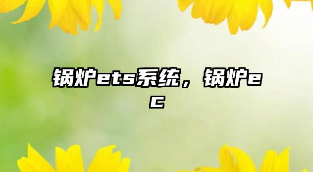 鍋爐ets系統(tǒng)，鍋爐ec