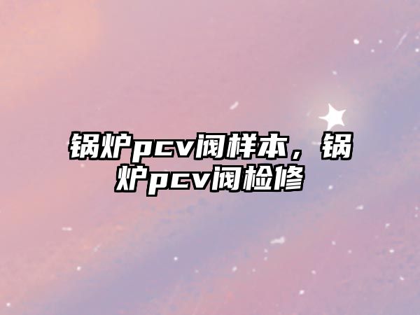 鍋爐pcv閥樣本，鍋爐pcv閥檢修