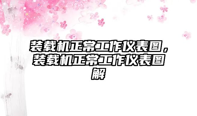 裝載機正常工作儀表圖，裝載機正常工作儀表圖解