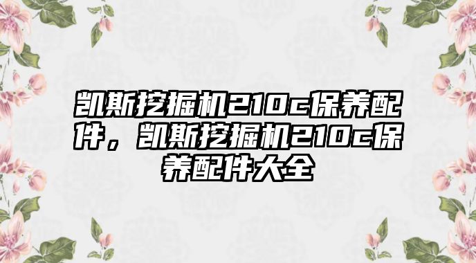 凱斯挖掘機(jī)210c保養(yǎng)配件，凱斯挖掘機(jī)210c保養(yǎng)配件大全