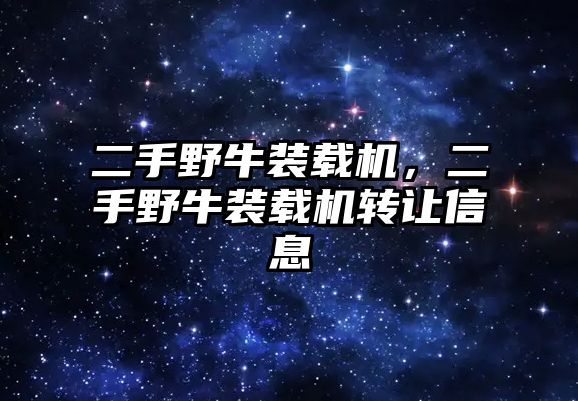 二手野牛裝載機，二手野牛裝載機轉讓信息