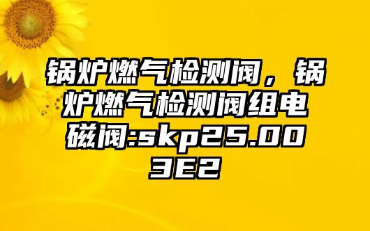 鍋爐燃?xì)鈾z測(cè)閥，鍋爐燃?xì)鈾z測(cè)閥組電磁閥:skp25.003E2