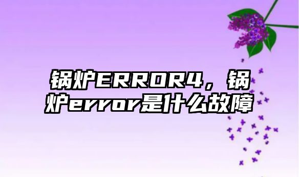 鍋爐ERROR4，鍋爐error是什么故障