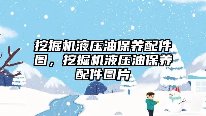 挖掘機液壓油保養(yǎng)配件圖，挖掘機液壓油保養(yǎng)配件圖片