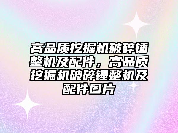 高品質(zhì)挖掘機破碎錘整機及配件，高品質(zhì)挖掘機破碎錘整機及配件圖片