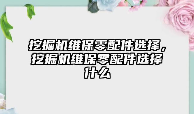 挖掘機(jī)維保零配件選擇，挖掘機(jī)維保零配件選擇什么