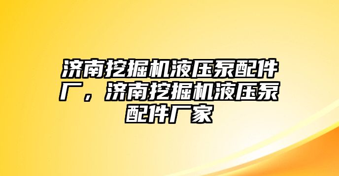 濟南挖掘機液壓泵配件廠，濟南挖掘機液壓泵配件廠家