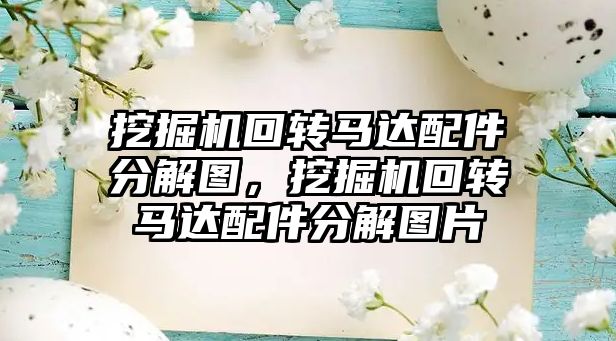 挖掘機回轉(zhuǎn)馬達配件分解圖，挖掘機回轉(zhuǎn)馬達配件分解圖片