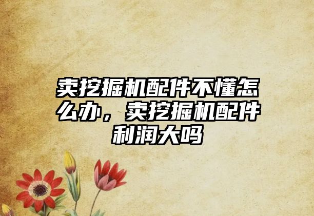 賣挖掘機配件不懂怎么辦，賣挖掘機配件利潤大嗎