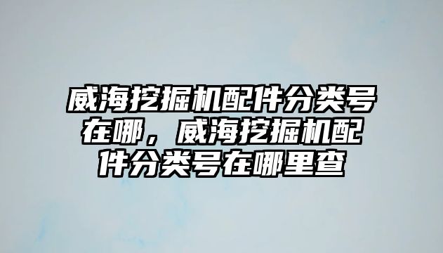 威海挖掘機(jī)配件分類號(hào)在哪，威海挖掘機(jī)配件分類號(hào)在哪里查