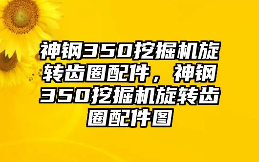 神鋼350挖掘機(jī)旋轉(zhuǎn)齒圈配件，神鋼350挖掘機(jī)旋轉(zhuǎn)齒圈配件圖