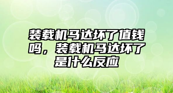 裝載機(jī)馬達(dá)壞了值錢嗎，裝載機(jī)馬達(dá)壞了是什么反應(yīng)