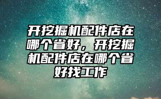 開挖掘機(jī)配件店在哪個(gè)省好，開挖掘機(jī)配件店在哪個(gè)省好找工作