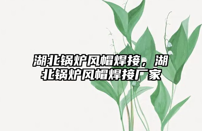 湖北鍋爐風(fēng)帽焊接，湖北鍋爐風(fēng)帽焊接廠家