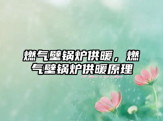 燃?xì)獗阱仩t供暖，燃?xì)獗阱仩t供暖原理