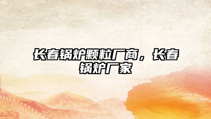 長(zhǎng)春鍋爐顆粒廠商，長(zhǎng)春鍋爐廠家