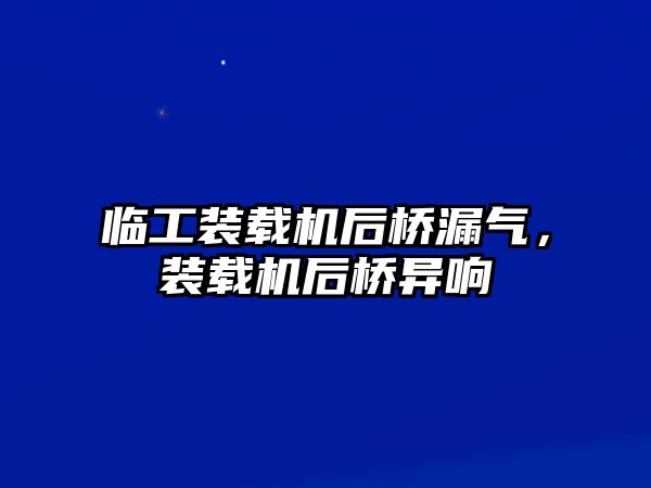 臨工裝載機后橋漏氣，裝載機后橋異響