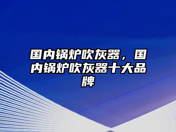 國內(nèi)鍋爐吹灰器，國內(nèi)鍋爐吹灰器十大品牌