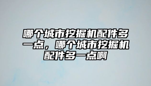 哪個城市挖掘機配件多一點，哪個城市挖掘機配件多一點啊