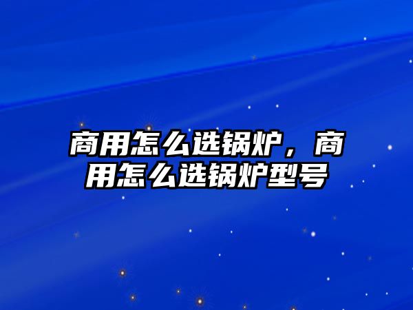 商用怎么選鍋爐，商用怎么選鍋爐型號(hào)