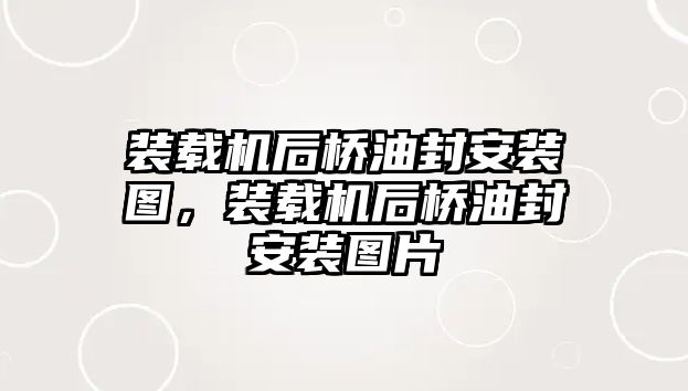 裝載機后橋油封安裝圖，裝載機后橋油封安裝圖片