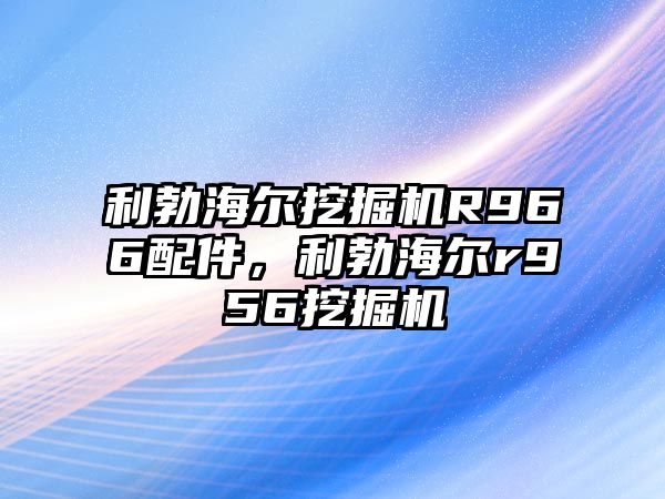 利勃海爾挖掘機(jī)R966配件，利勃海爾r956挖掘機(jī)