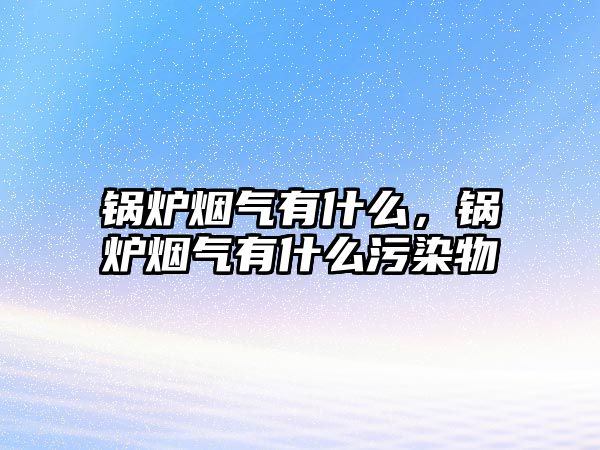 鍋爐煙氣有什么，鍋爐煙氣有什么污染物