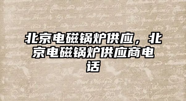 北京電磁鍋爐供應(yīng)，北京電磁鍋爐供應(yīng)商電話