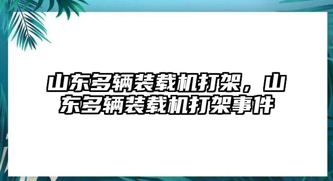 山東多輛裝載機打架，山東多輛裝載機打架事件