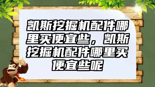 凱斯挖掘機(jī)配件哪里買便宜些，凱斯挖掘機(jī)配件哪里買便宜些呢