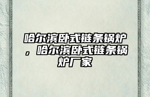 哈爾濱臥式鏈條鍋爐，哈爾濱臥式鏈條鍋爐廠家