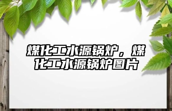 煤化工水源鍋爐，煤化工水源鍋爐圖片