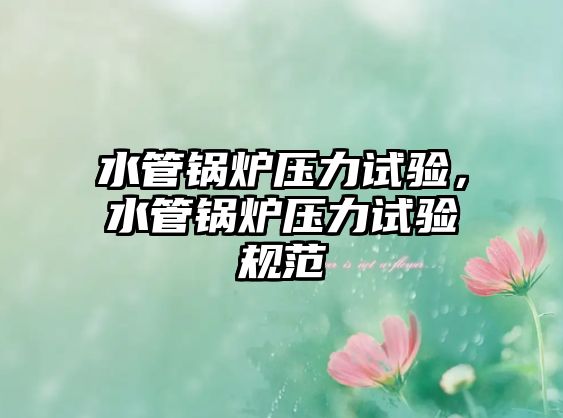 水管鍋爐壓力試驗，水管鍋爐壓力試驗規(guī)范