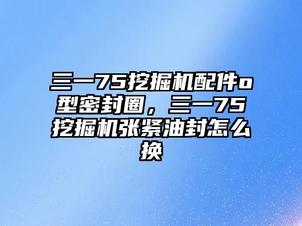 三一75挖掘機(jī)配件o型密封圈，三一75挖掘機(jī)張緊油封怎么換