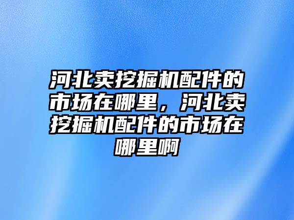 河北賣挖掘機配件的市場在哪里，河北賣挖掘機配件的市場在哪里啊