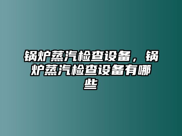 鍋爐蒸汽檢查設(shè)備，鍋爐蒸汽檢查設(shè)備有哪些