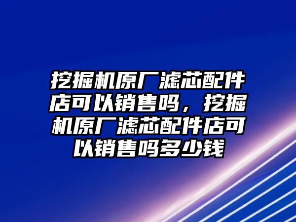 挖掘機原廠濾芯配件店可以銷售嗎，挖掘機原廠濾芯配件店可以銷售嗎多少錢