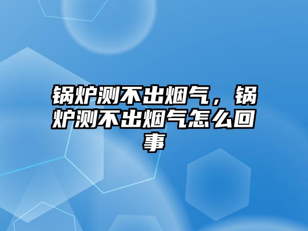 鍋爐測(cè)不出煙氣，鍋爐測(cè)不出煙氣怎么回事