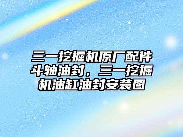 三一挖掘機(jī)原廠配件斗軸油封，三一挖掘機(jī)油缸油封安裝圖